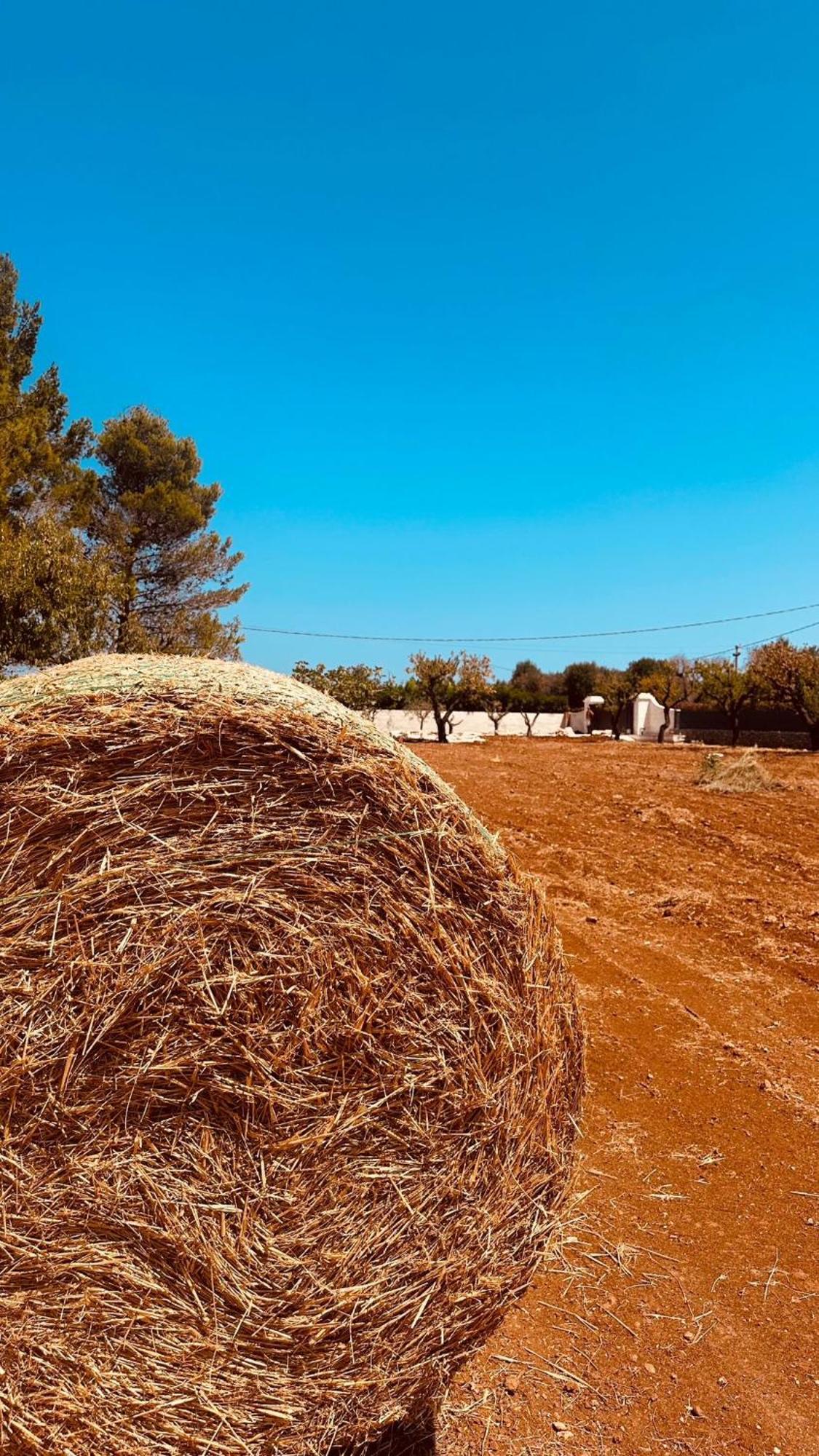 Ca Summa Agriresort Ostuni Extérieur photo